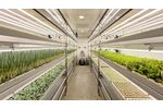 Aralab FitoClima Production Rooms Leafy Greens - Video
