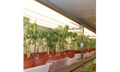 Plant Research Chamber for Plant Growth Research