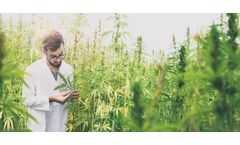 Concrete Structures for Cannabis Cultivation