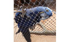 AISI 316 stainless steel aviary mesh / bird enclosure netting