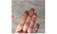 Sunflower - Hexagonal Mesh