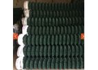 Sunflower - Chain Link Fence