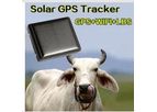 Raybaca - Model RBC-DW-02 - Mini Solar Animal GPS Tracker Gps Tracking Devices
