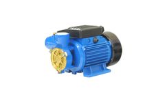 SANXIN - Model DB-125 - Electric Clean Water Pump