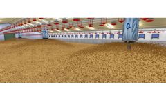 BeddingPoint - Automatic Litter System