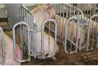 Prüllage - Pig Housing System