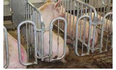 Prüllage - Pig Housing System
