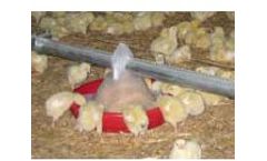 Prüllage - Broiler Housing System