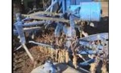 Fornasier Cesare & C. collection of cuttings Video