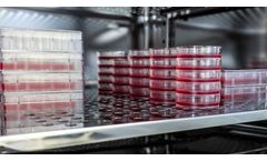 Temperature Controlled Incubator Applications