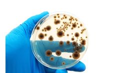 What is Biotechnology and What is it Used For?