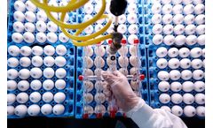 Avian Vaccine Services