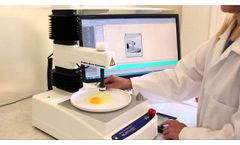 How to Measure Egg Quality - Video