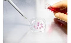 Time-resolved Spectroscopy of Phosphorescent Oxygen Sensors in a Relevant in vitro Environment for Biomedical Applications