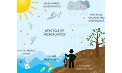 Using Raman Spectroscopy for Microplastic Analysis
