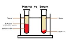 Blood Analysis Using Raman Spectroscopy