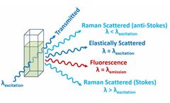 Raman Scattering in Fluorescence Emission Spectra – Common Errors in Fluorescence Spectroscopy