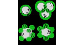 Surfaced Enhanced Raman Scattering (SERS)