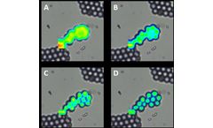Spatial Resolution in Raman Spectroscopy