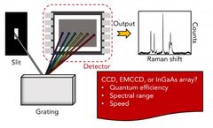 Detectors for Raman Spectroscopy: CCDs, EMCCDs, and InGaAs Arrays