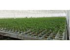 Horti-XS - Greenhouse Construction Services