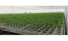 Horti-XS - Greenhouse Construction Services