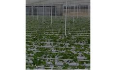 Horti-XS - Greenhouse Project Management Service