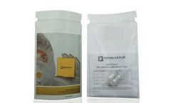 Biotools - Model 1U/µl - High-Fidelity DNA Polymerase