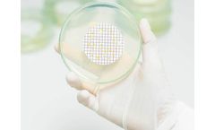 Focus - Aerobic and Yeast and Mold Plate Count