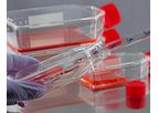 Focus - Bioburden Viable Microbes