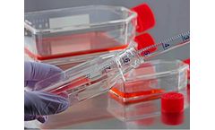 Focus - Bioburden Viable Microbes