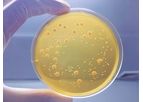 Focus - Membrane Filtration