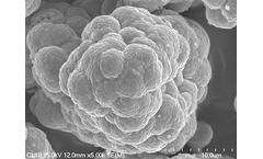 Luxfer - Standard Monoclinic Zirconias Ceramics