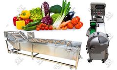 Gelgoog - Automatic Fruit Vegetable Washing Cutting Processing Line Machine