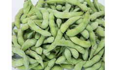 IQF Edamame (Soybeans)