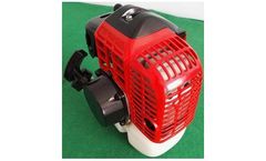 Dingyi - Model 1E40F-8A - Gasoline Engine