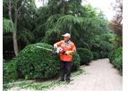 Dingyi - Model SLP600 - Hedge Trimmer