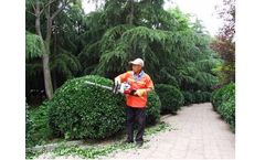 Dingyi - Model SLP600 - Hedge Trimmer