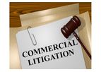 Commercial Litigation Services