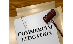 Commercial Litigation Services