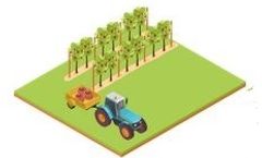 eVineyard - Professional Vineyard Management Software