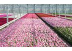 Direkci - Ornamental Plant Production Greenhouses