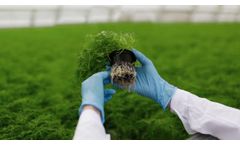 Peatman - Professional peat substrates - Video