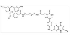Biochempeg - Model FITC-PEG-FA - High Purity Polyethylene Glycol (PEG)