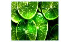 Gayatri - Acid Green Dyes