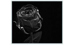 Gayatri - Model 22 - Direct Black Dyes