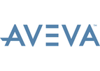 Professional and Success Services
