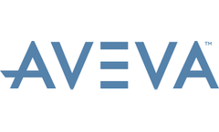 Professional and Success Services