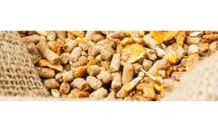 Agrolab - Single Mixed Feed Analysis Services