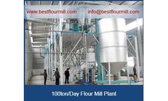 ABC Machinery - Model maize milling machine - Complete set of 50 ton corn processing equipment